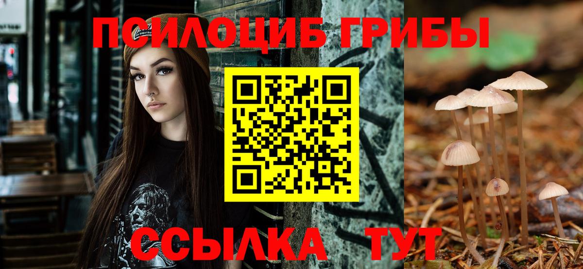 Псилоцибиновые грибы GOLDEN TEACHER  где купить   Тимашёвск  Вход с VPN 